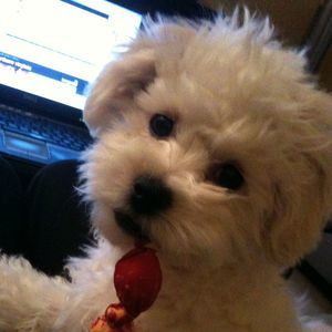 Meet your Posher, Lynn